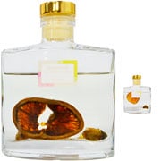 Difusor de Ambientes Aromatizante Cítrico II 100ml